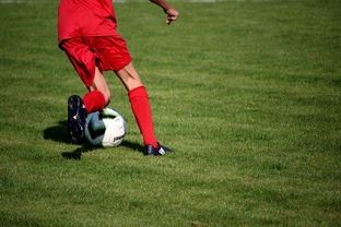 开云体育网址-篮球运动员心理韧性培养及心理健康维护体系,篮球运动员心理韧性培养及心理健康维护体系是什么