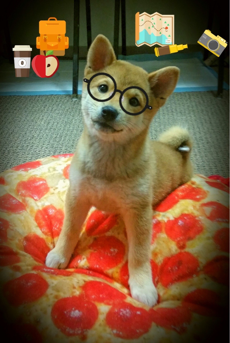 开云体育官网登入-运动训练计划个性化设计及实施效果,运动训练计划个性化设计及实施效果评价