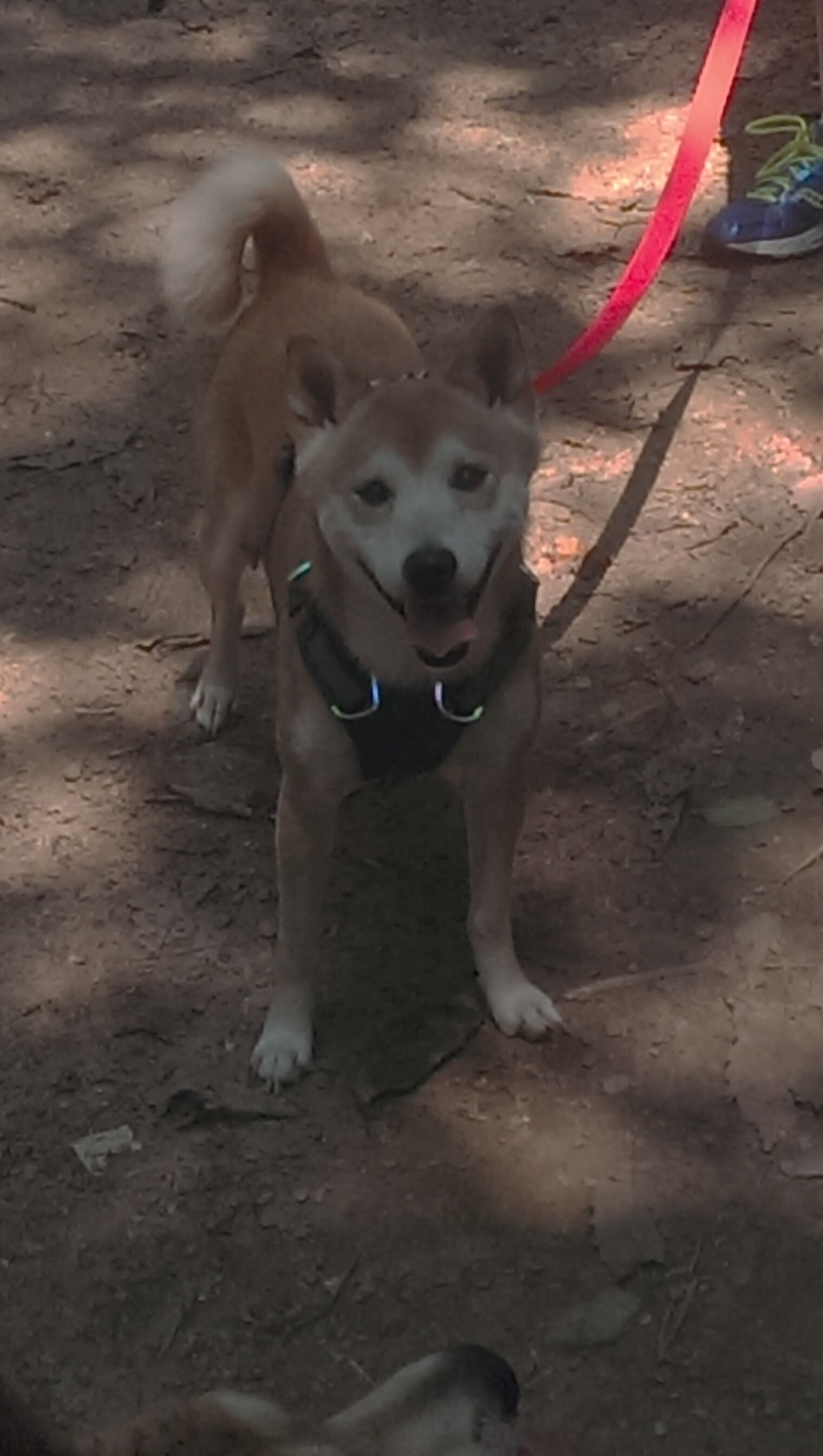 开云体育官网登入-运动训练计划个性化设计及实施效果,运动训练计划个性化设计及实施效果评价