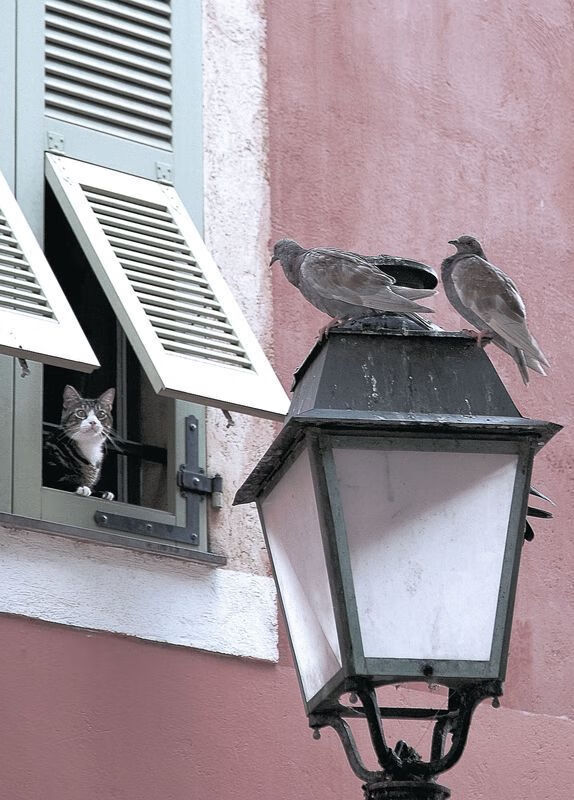 开yun官网-CBA联盟完善比赛规则 提升赛事质量,cba篮球联赛赛制规则