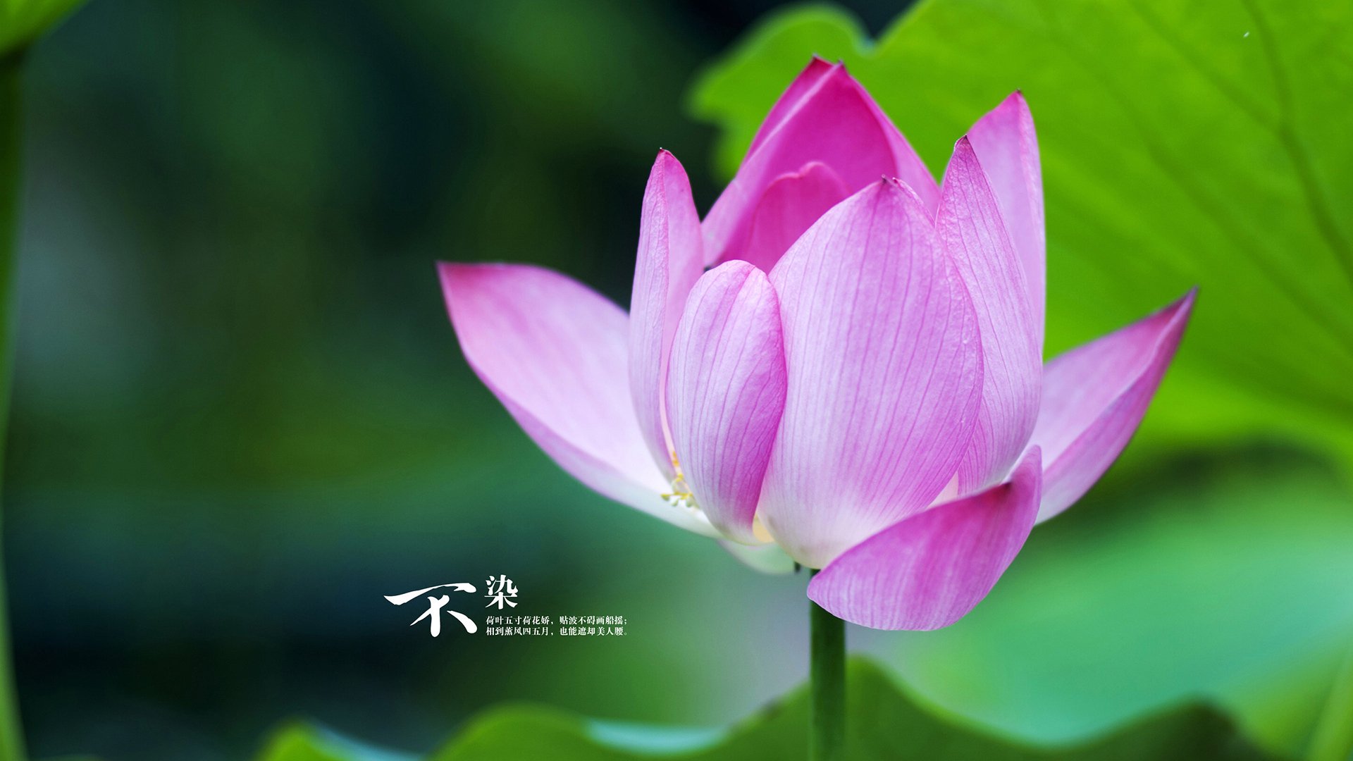 开云体育app注册-体育新闻中心发布智慧健身内容生态构建方案，推行智慧健身的意义