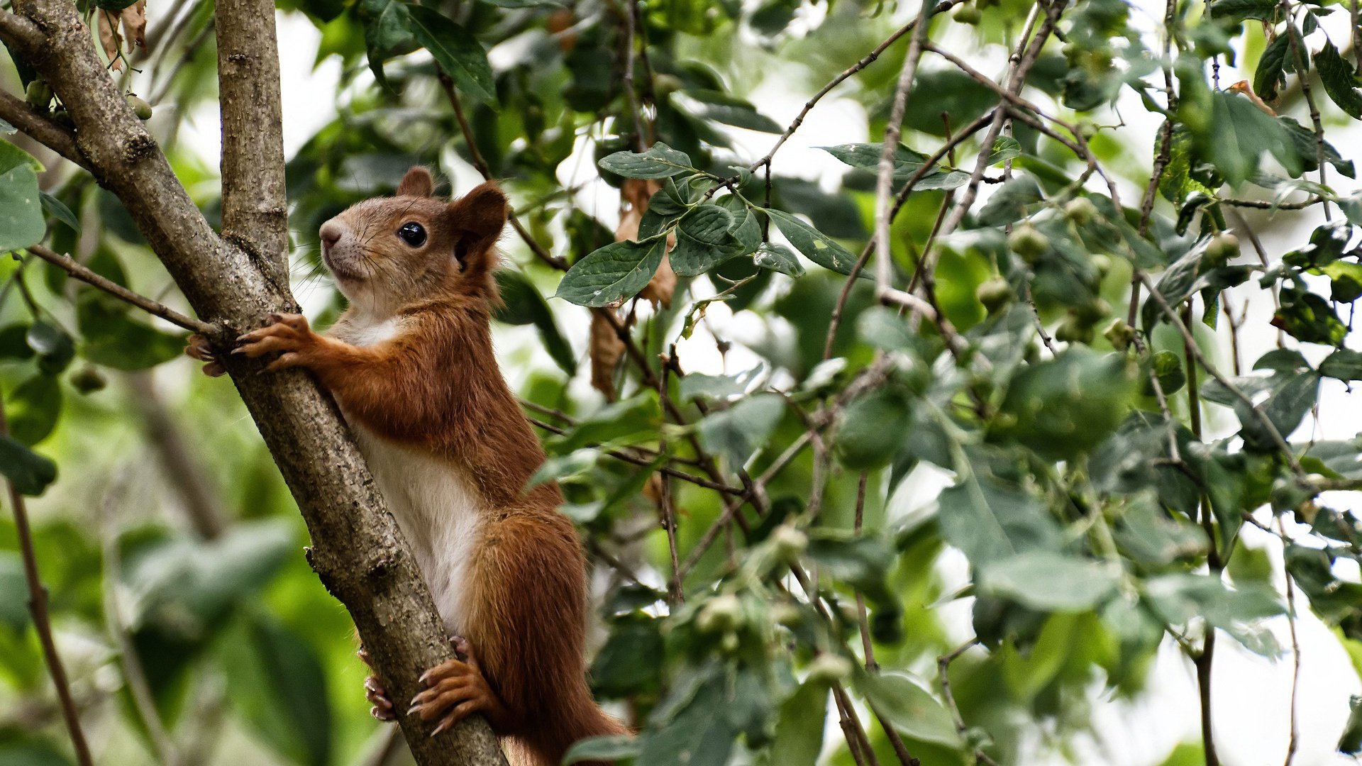开云体育在线-滑雪公开赛速度赛道项目竞争激烈,滑雪比赛赛道
