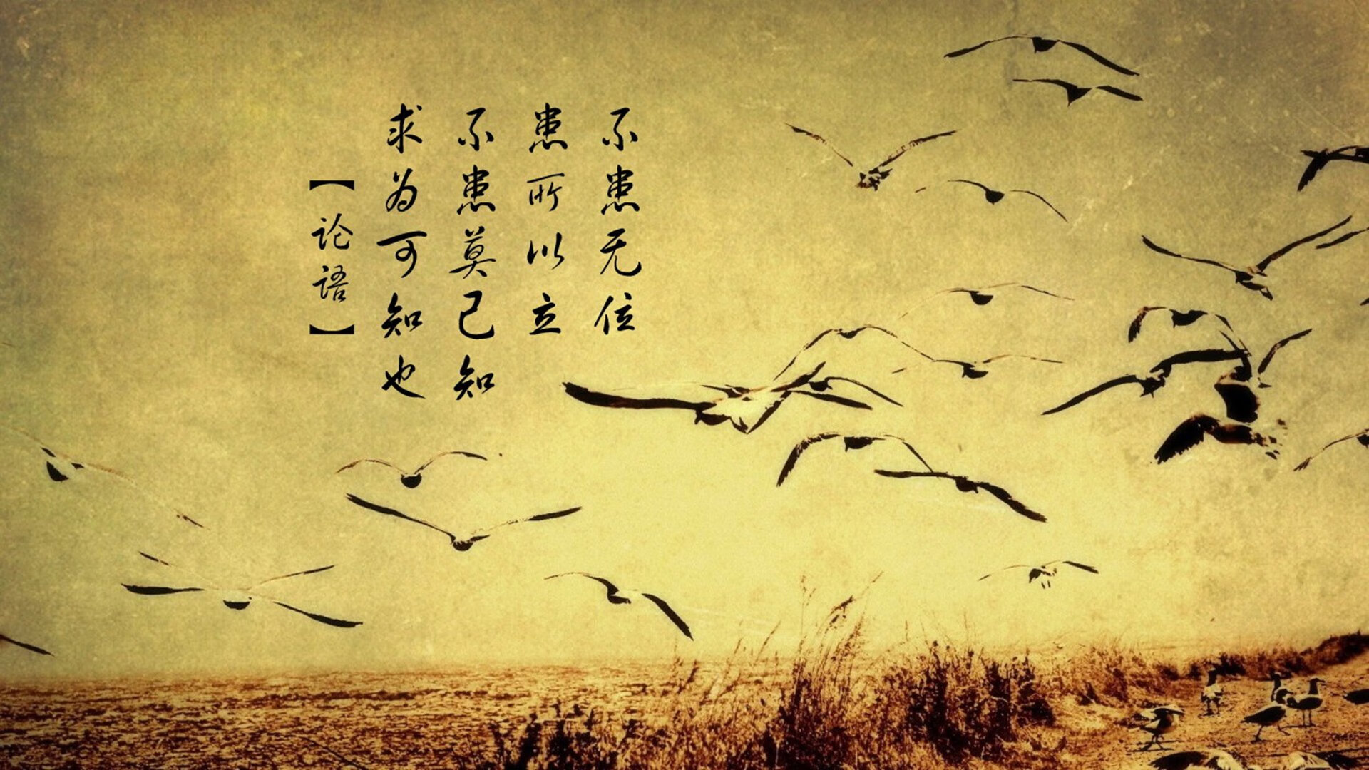 开云体育网站-物理学推动乒乓球战术新潮流,乒乓球运动原理用物理知识解答