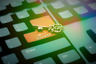 开云体育足球-美国队赛制评析:团体赛制中的关键战术与胜负取决因素,美国队队内对抗赛