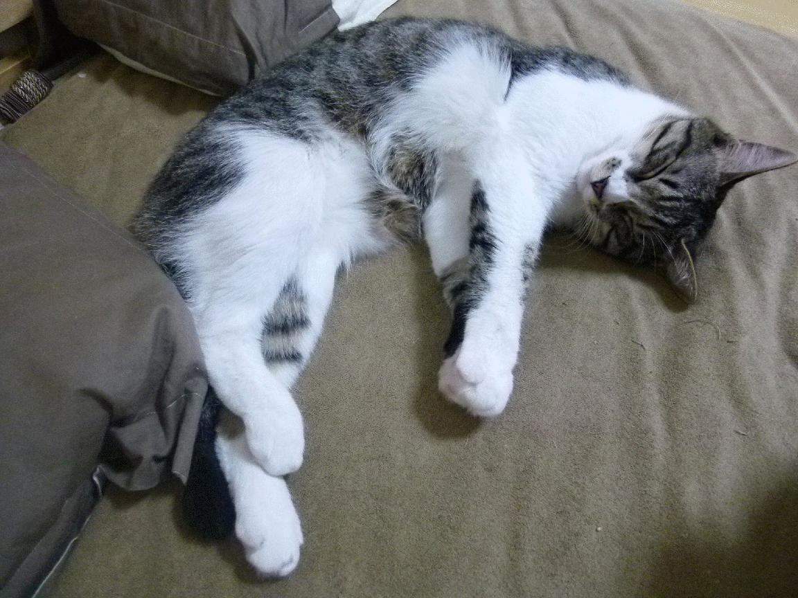 开云体育app在线-76人教练与球员一对一沟通明确个人定位,76人 教练