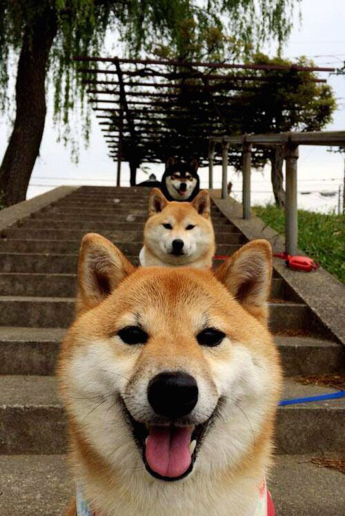 开云体育链接-“费尔南多·比亚尔巴的球技创新,带领阿根廷美洲狮队冲击世界冠军”