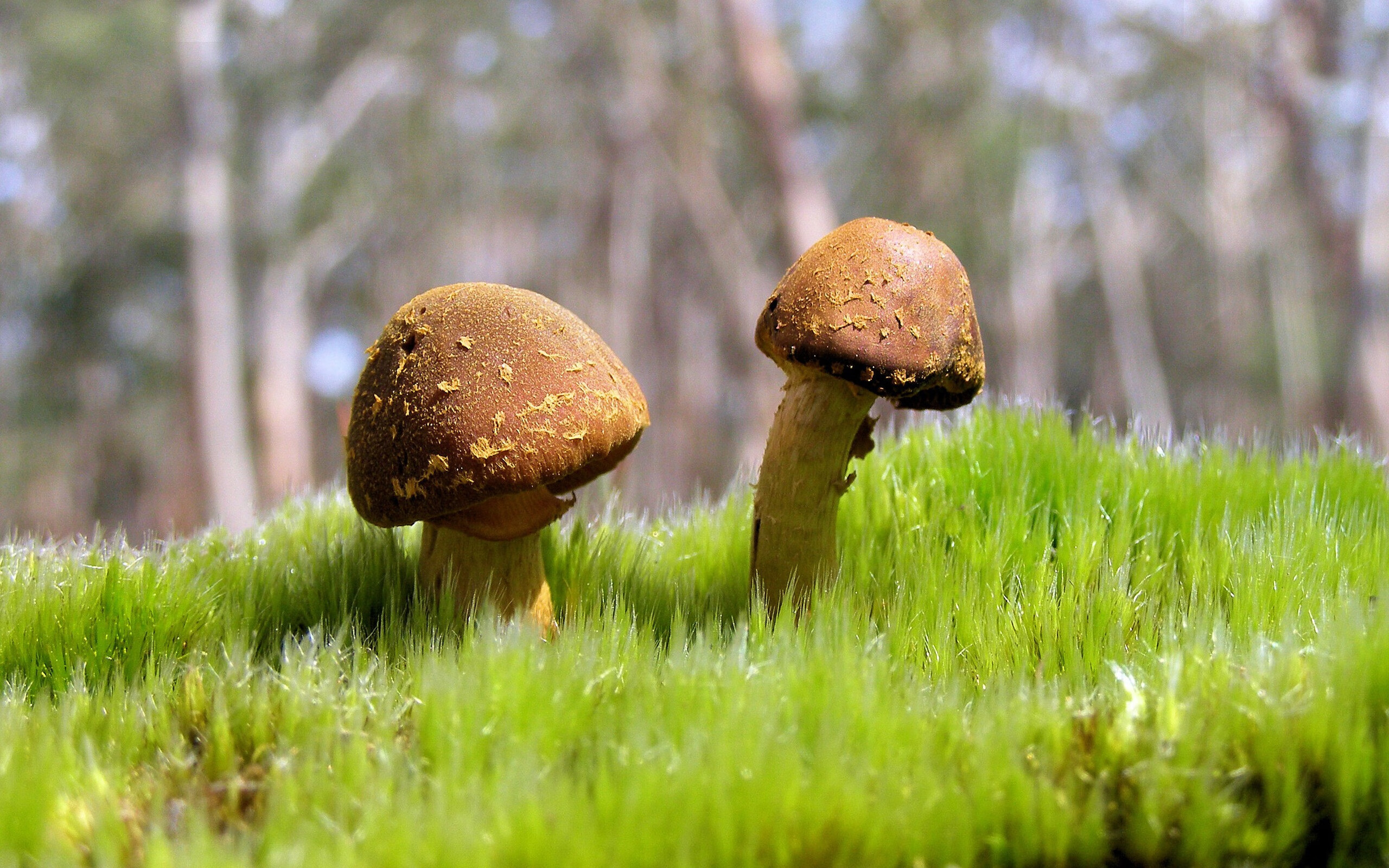 开云官方网-中国篮球教练高端研修班开讲提升精英人才理论与实践能力，中国篮球训练师