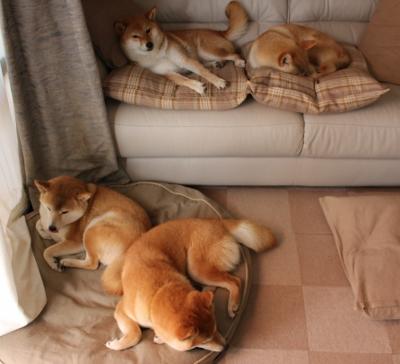 开云体育平台-中超俱乐部试点联合青训计划共享资源与训练模式,中超球队青训