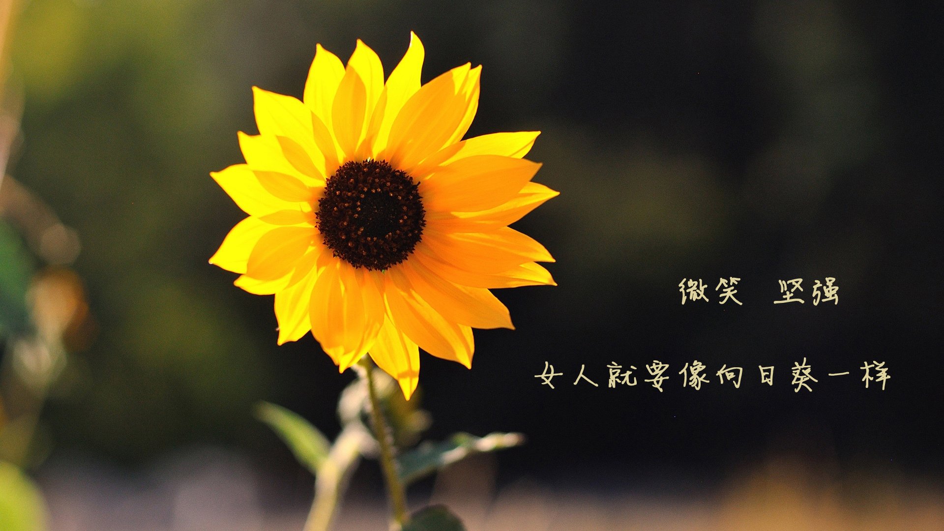 开云在线入口-主帅强调纪律建设塑造团队文化建立长远发展根基,抓牢纪律建设