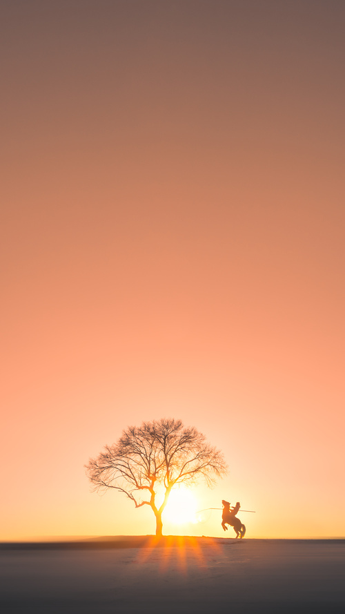 开云体育入口-城市篮球IP建设计划启动结合球员粉丝与本地文化发展，十大篮球城市