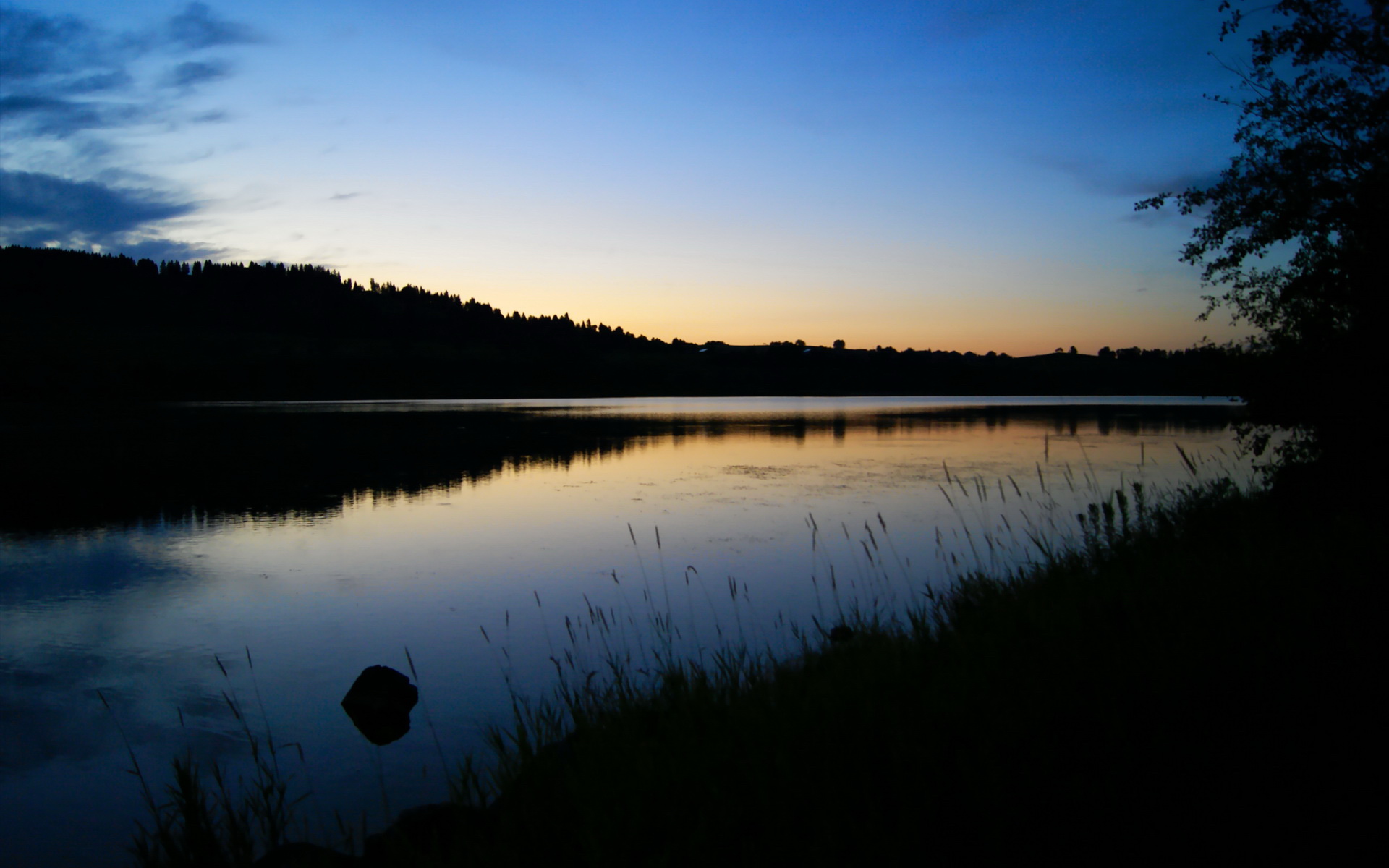 开云体育官网-莫莉·奥卡拉汉展现新生代游泳实力,莫利卡拉汉
