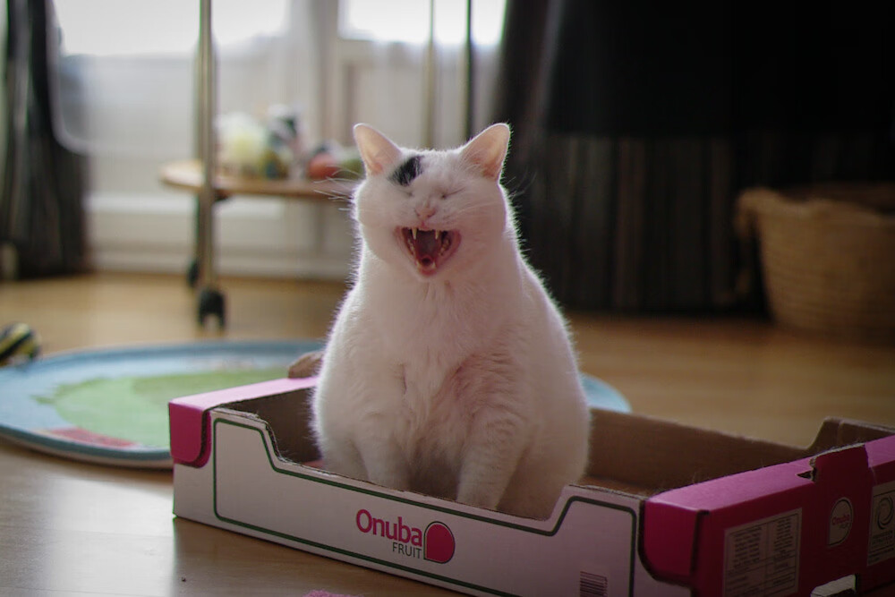 kaiyun开云体育-中国足球国家队国际热身赛战绩喜人，国足热身赛名单